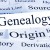 A conceptual look at genealogy, blood line, origins, source, and history